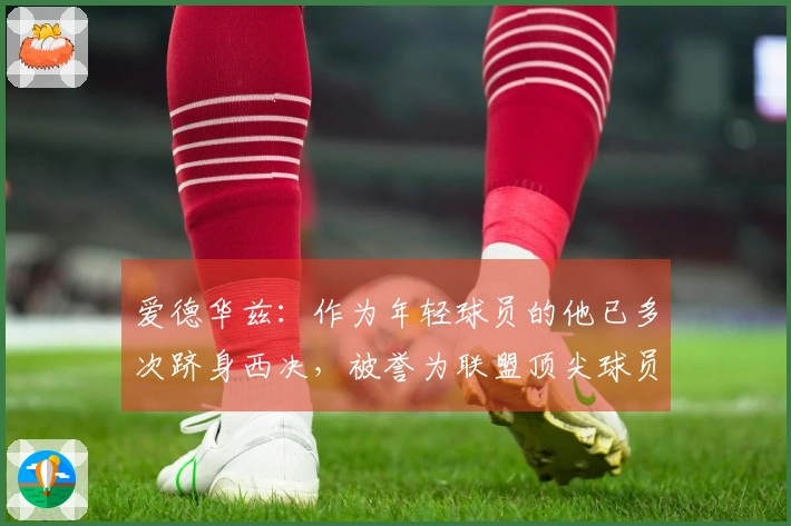 爱德华兹：作为年轻球员的他已多次跻身西决，被誉为联盟顶尖球员